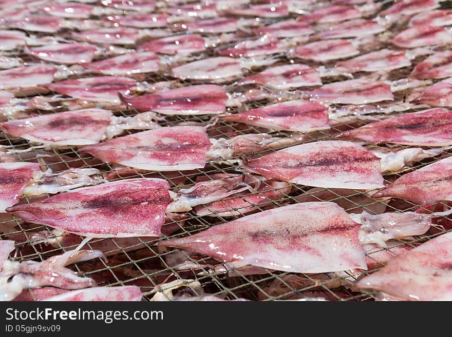 Squids placed in the strong sunshine to dry on net in seafood market Thailand. Squids placed in the strong sunshine to dry on net in seafood market Thailand