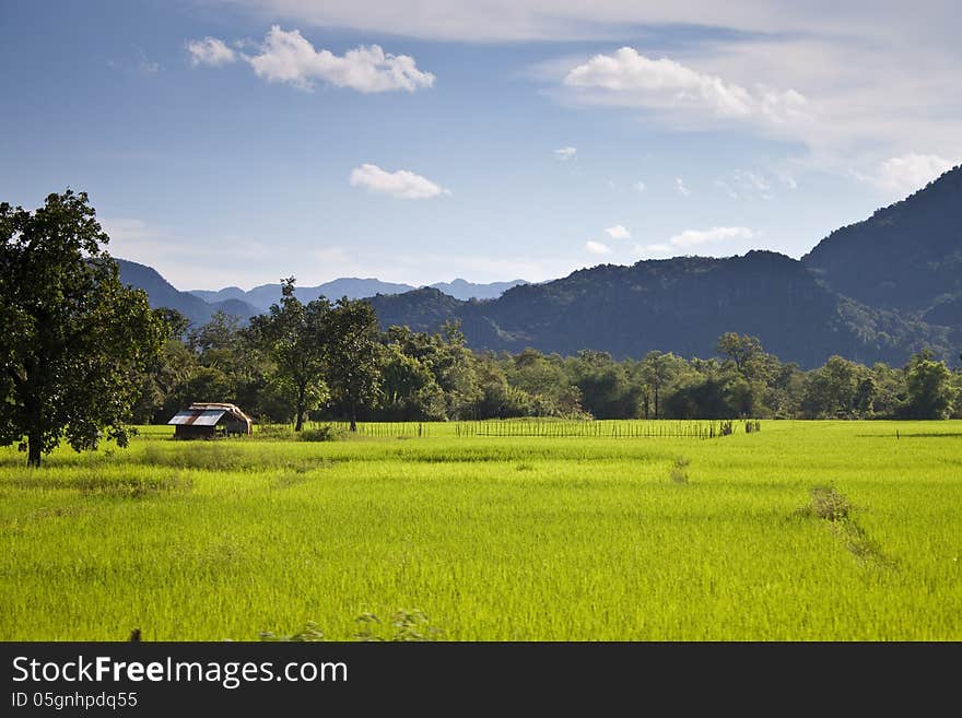 Green countryside in central Laos