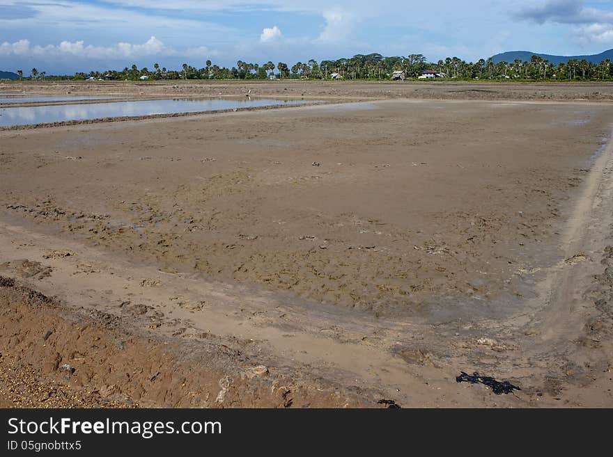 Empty salt fields