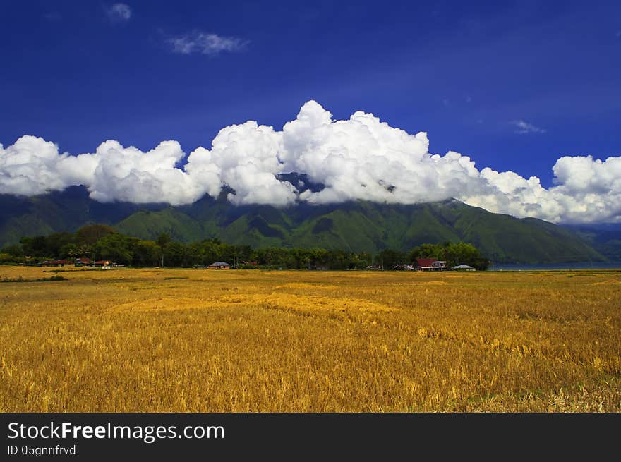 The Fields After Harvest.