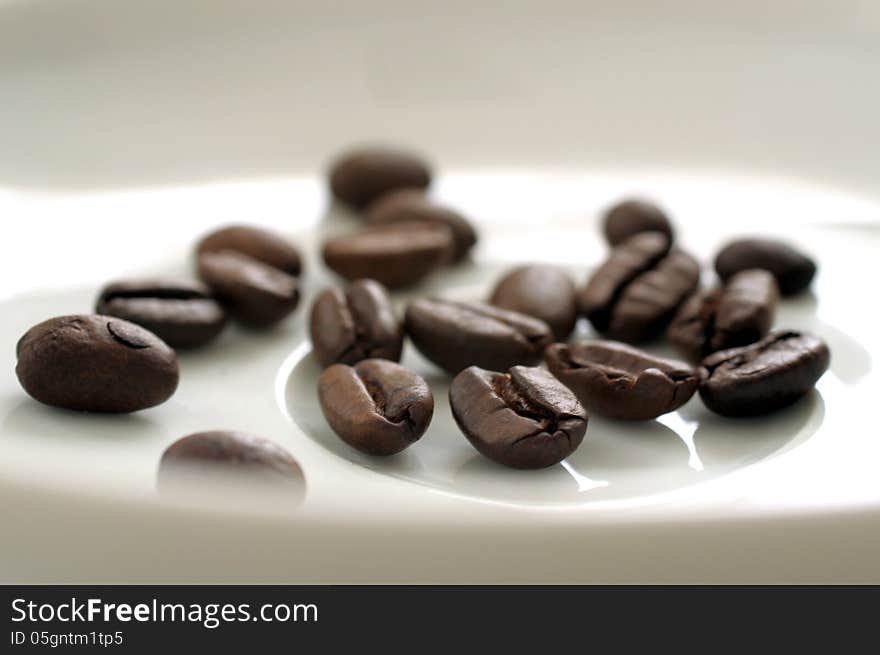 Close Up of coffee beans