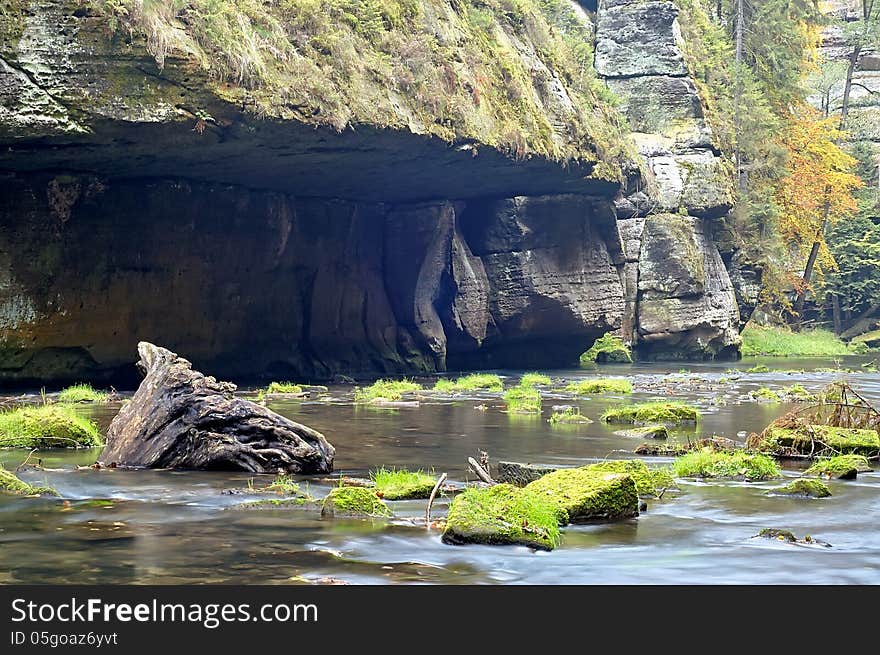 Autumn flowing river with trees. Autumn flowing river with trees