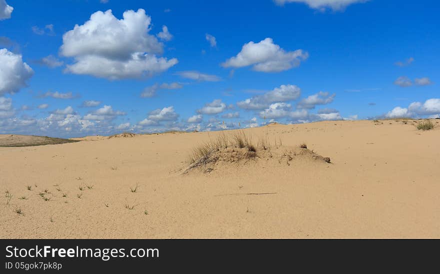 Sandy desert with beautiful landscape, wildlife and nature around it. Sandy desert with beautiful landscape, wildlife and nature around it