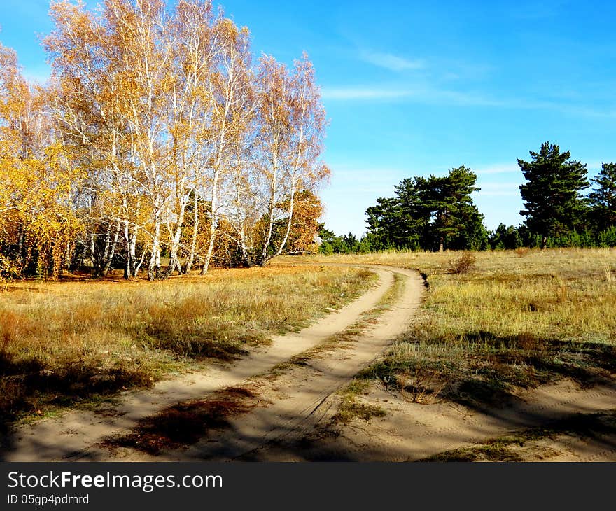 The golden autumn came to forest-steppes of Altai. The golden autumn came to forest-steppes of Altai