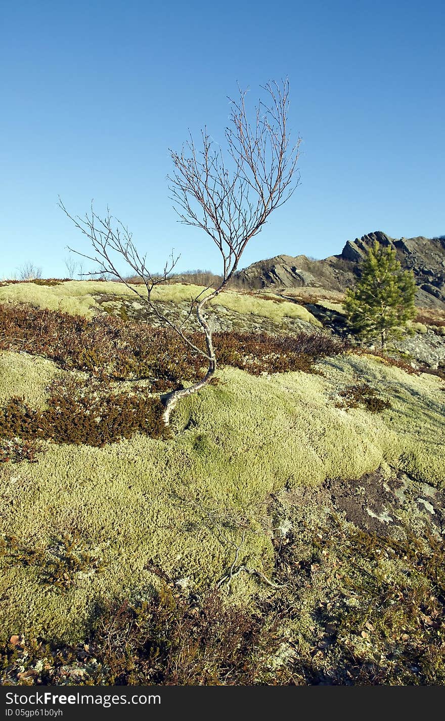 Countryside landforms in heather in outdoor scene. Countryside landforms in heather in outdoor scene