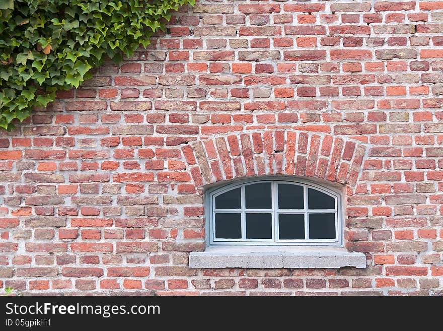 Old red brick wall with window and ivy branches on top. Old red brick wall with window and ivy branches on top