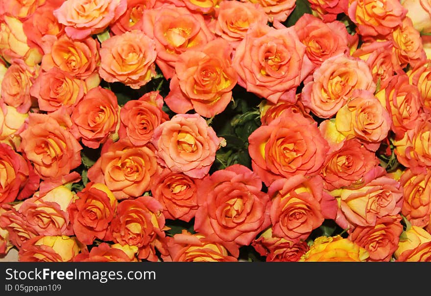 Arrangement of pink and yellow rose bed in a flower show