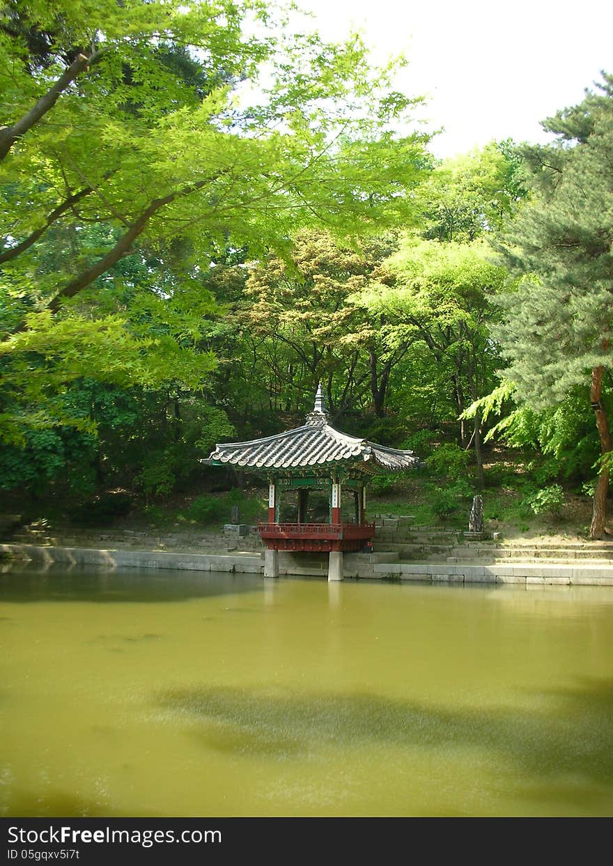 A view across the pond to a resting place beneath a pagoda. This is inside the secret garden of Changdeok Palace in South Korea.