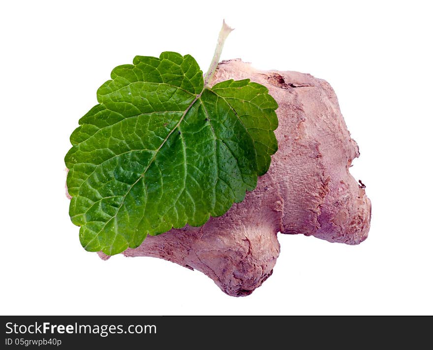 Leaf mint and ginger on white isolated