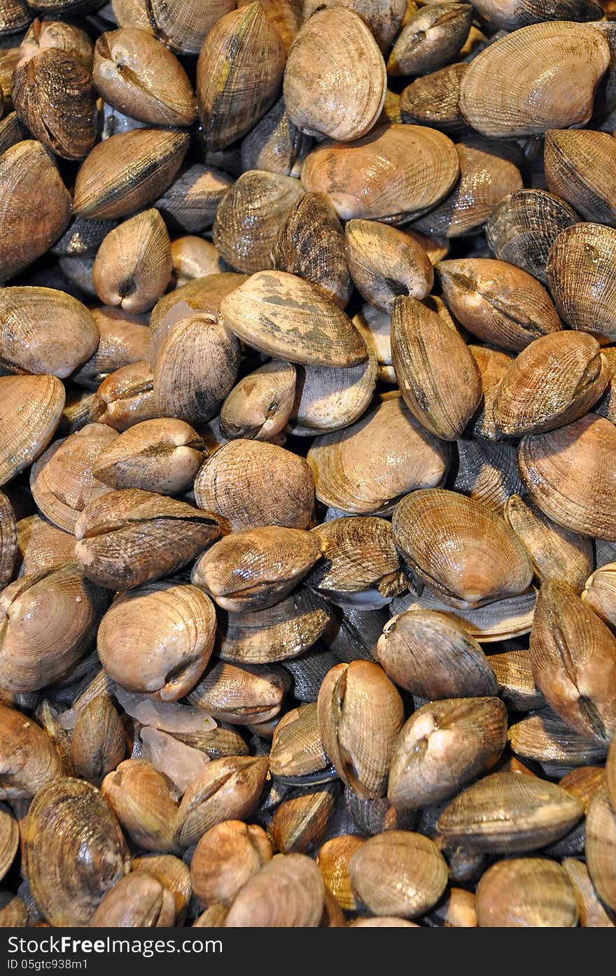 Fresh clams for sale at the market