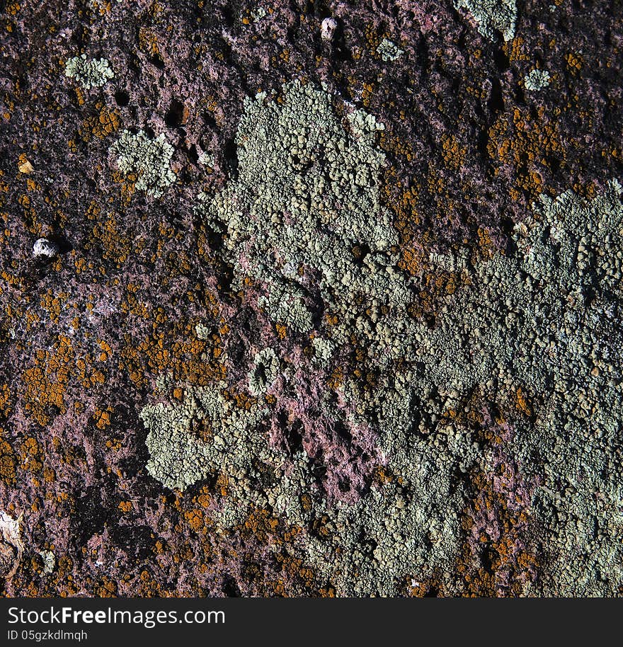 Stone wall covered with moss and lichen