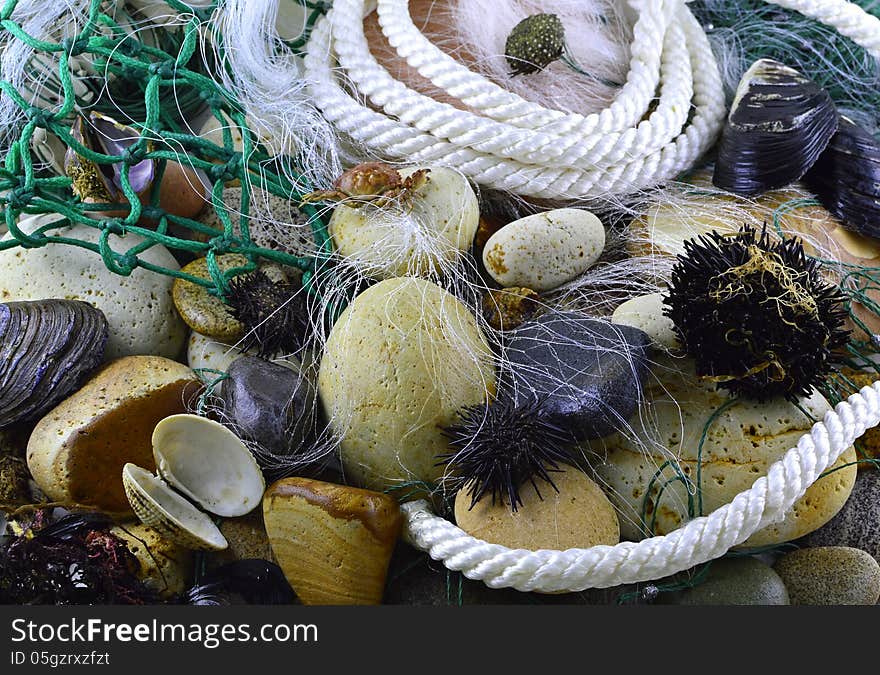 Still life with fishing net, stones and shells. Still life with fishing net, stones and shells