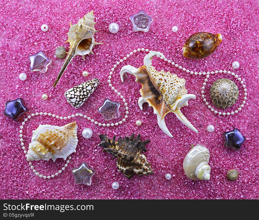 Fable still life with shells and decorations on pink sand. Fable still life with shells and decorations on pink sand