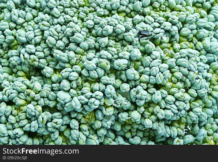 Macro of green broccoli with water drop background