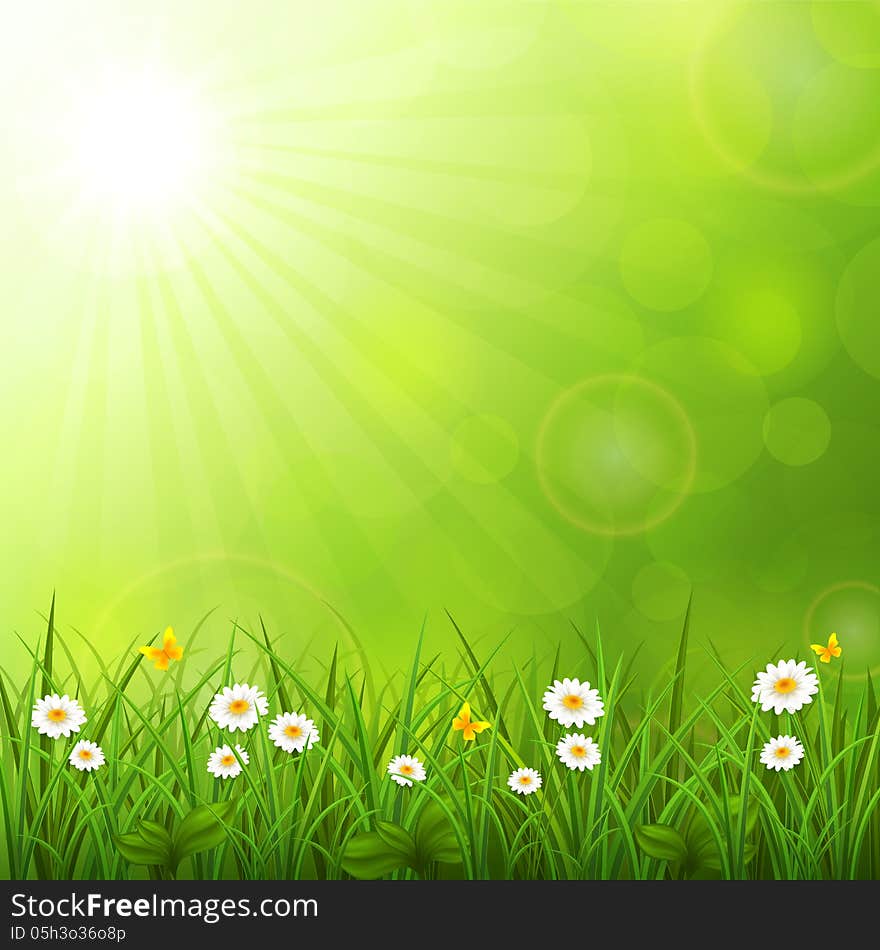 Summer background with grass