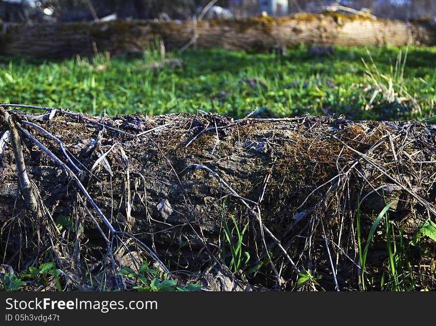 Two of the felled tree laying in the grass on the meadow middle plan