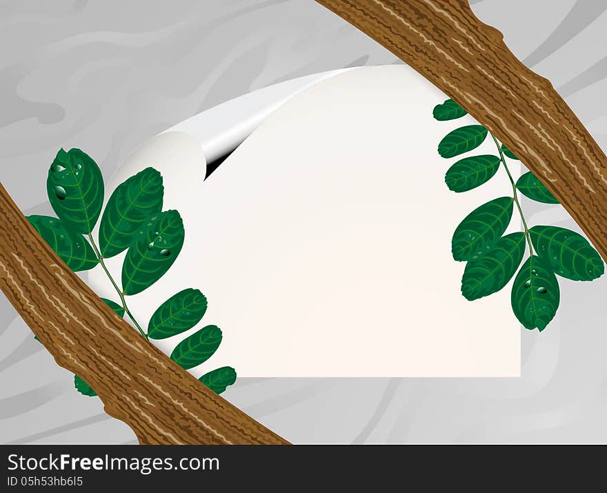 Illustration,paper sign with green leaves background