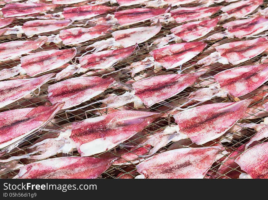 Squids placed in the strong sunshine to dry on net in seafood market Thailand. Squids placed in the strong sunshine to dry on net in seafood market Thailand