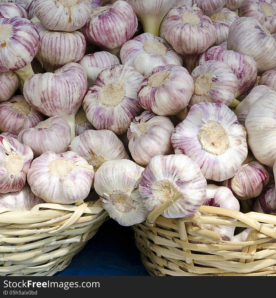 Garlic