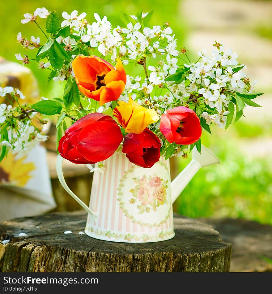 Vintage style watering can with tulips and apricot tree blooming branches. Vintage style watering can with tulips and apricot tree blooming branches