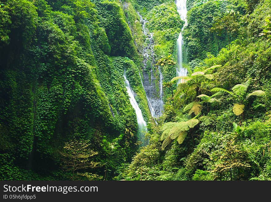 Madakaripura Waterfall – Deep Forest Waterfall in East Java, Indonesia