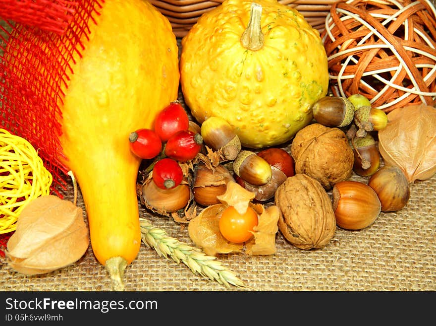 Autumn background for Thanksgiving day. Autumn background for Thanksgiving day.