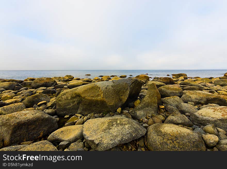 Coast of the Baltic Sea. Coast of the Baltic Sea.