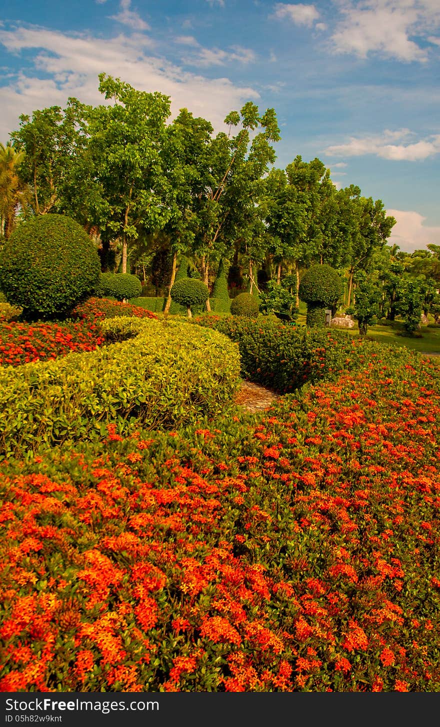 Exotic botanical garden in the North of Thailand