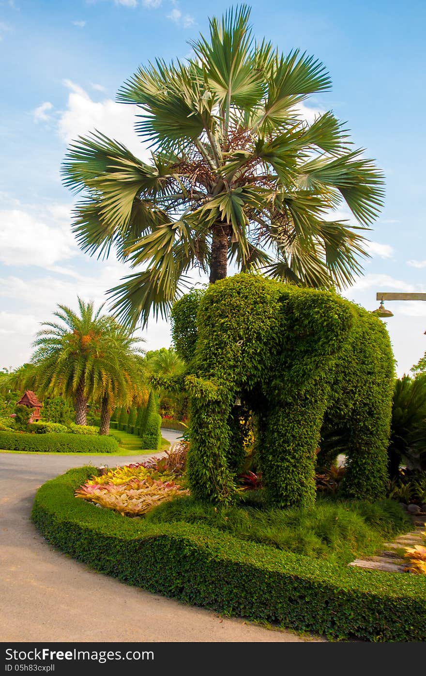 Exotic botanical garden in the North of Thailand