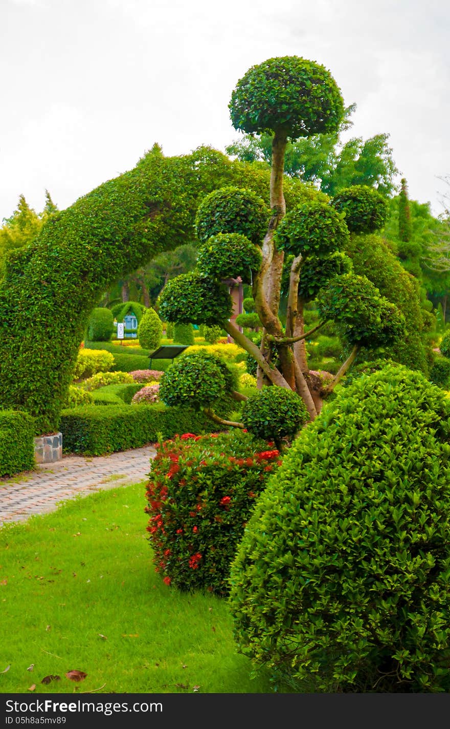 Exotic botanical garden in the North of Thailand