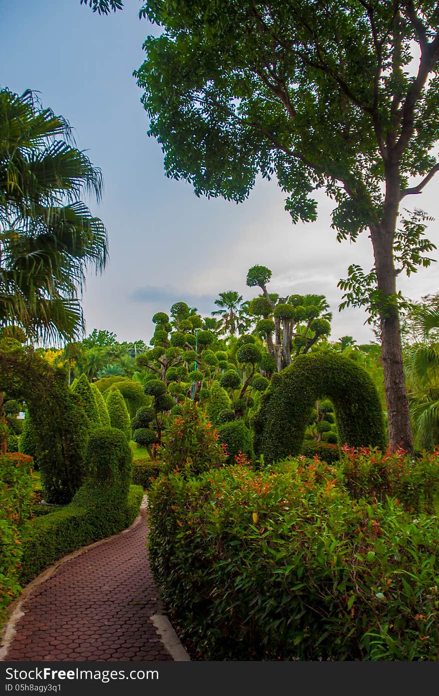 Exotic botanical garden in the North of Thailand