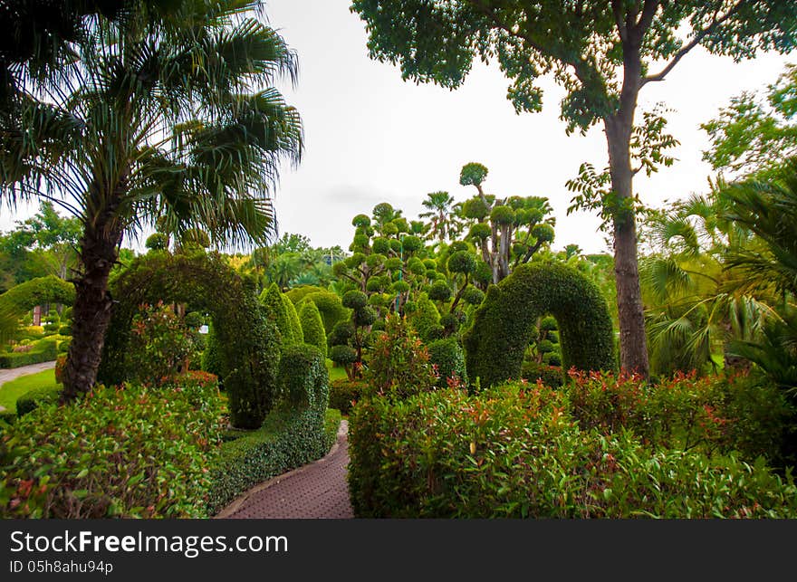 Exotic botanical garden in the North of Thailand