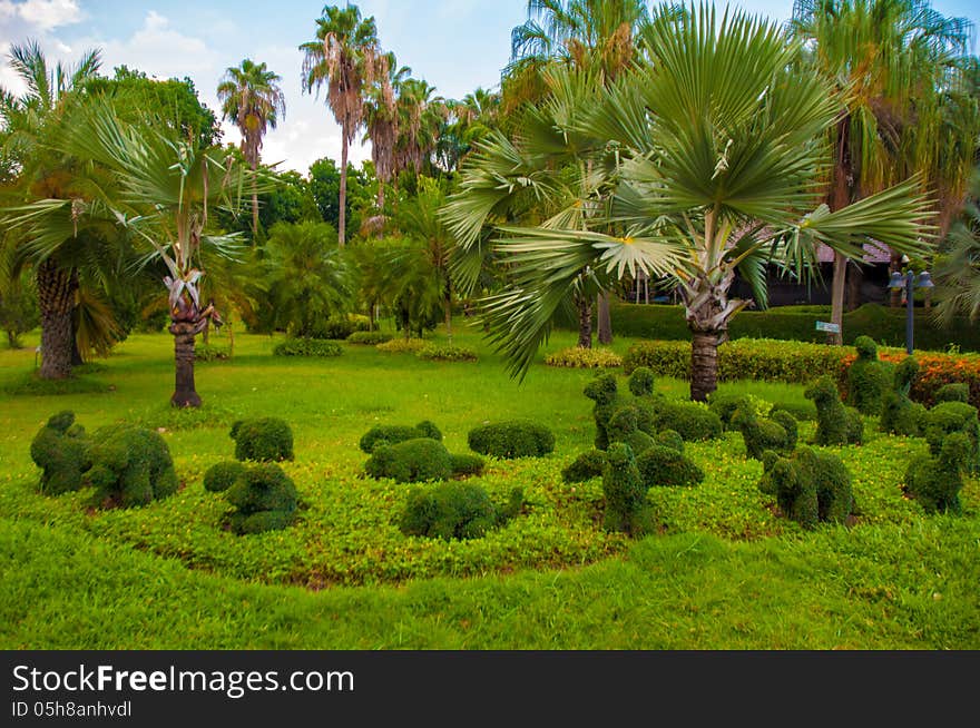 Exotic botanical garden in the North of Thailand