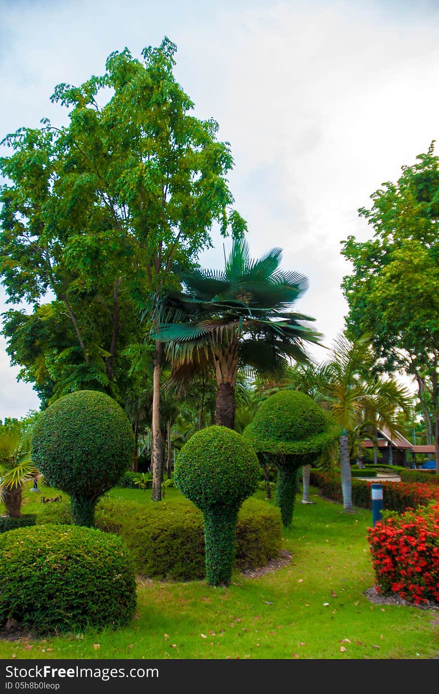 Exotic botanical garden in the North of Thailand