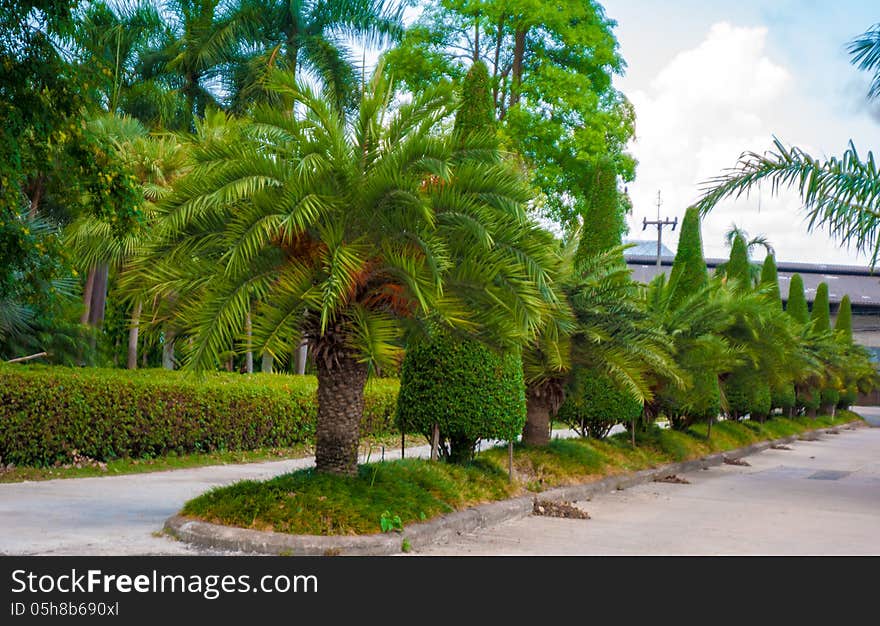 Exotic botanical garden in the North of Thailand