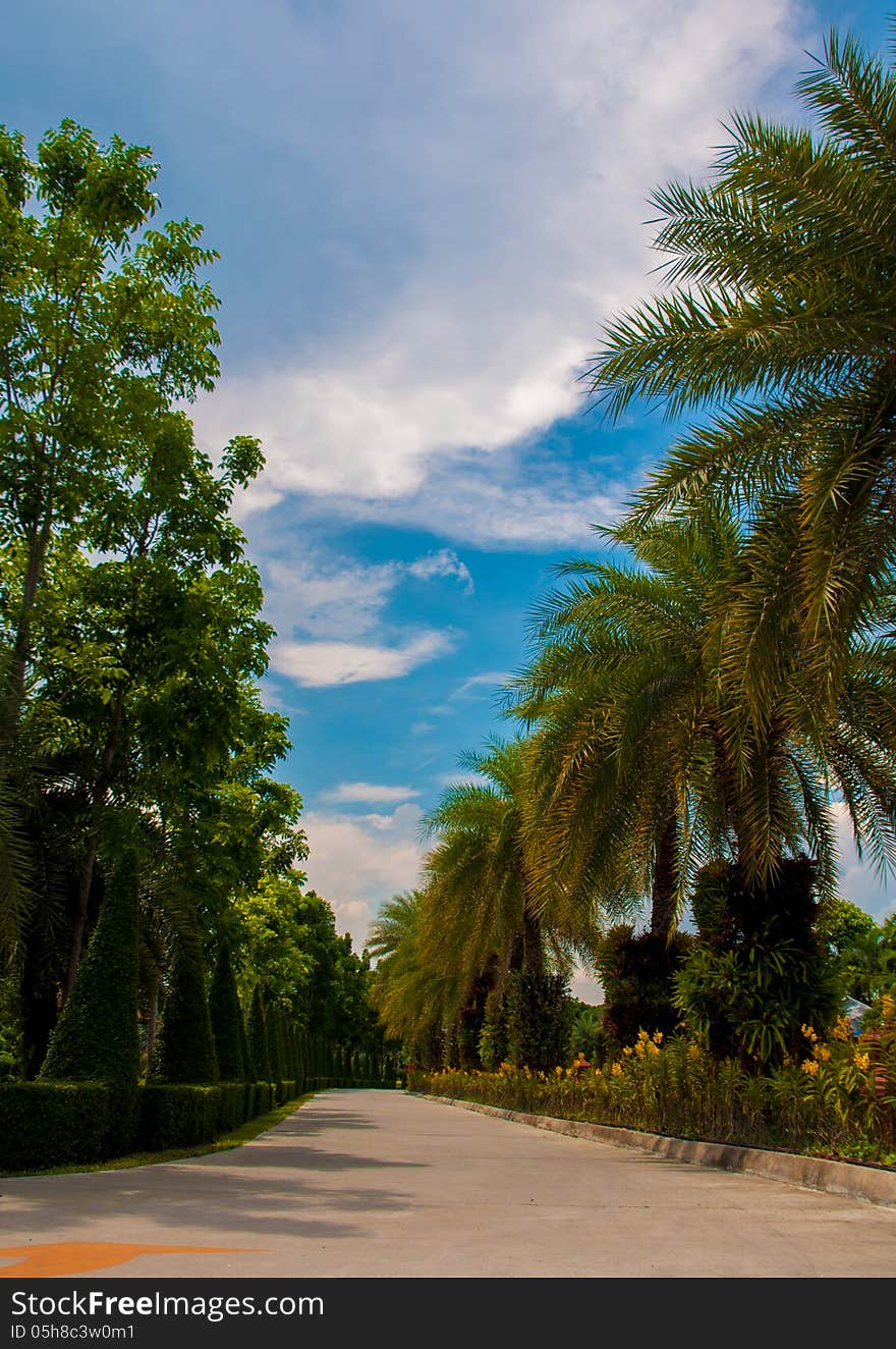 Exotic botanical garden in the North of Thailand