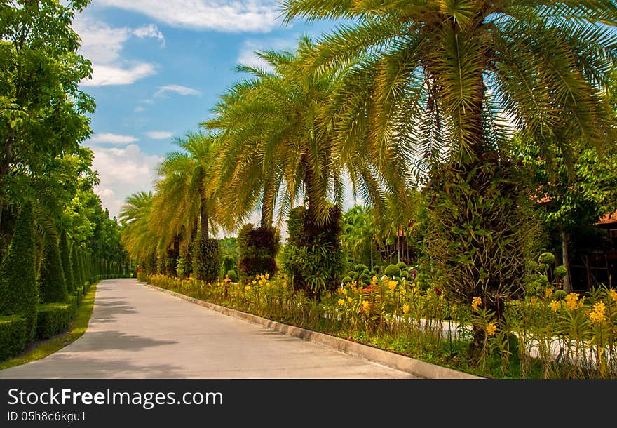 Exotic botanical garden in the North of Thailand