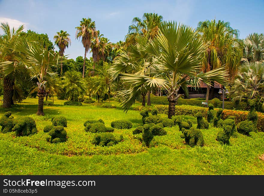 Exotic botanical garden in the North of Thailand