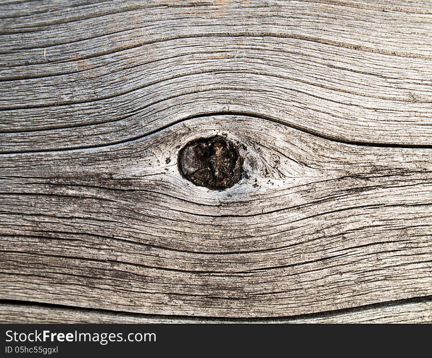 Eye on a dead spruce trunk without bark. Eye on a dead spruce trunk without bark