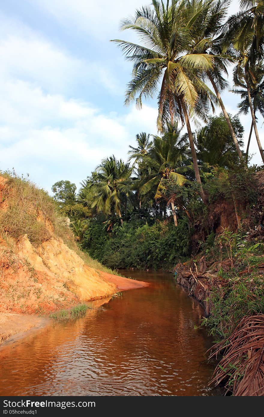 Landscape with palm tree and red river between rocks and jungle Ham Tien canyon Mui ne, Vietnam. Landscape with palm tree and red river between rocks and jungle Ham Tien canyon Mui ne, Vietnam