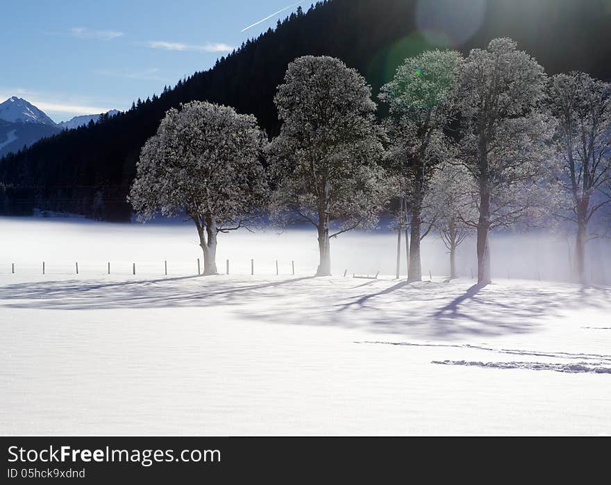 Ramsau am Dachstein