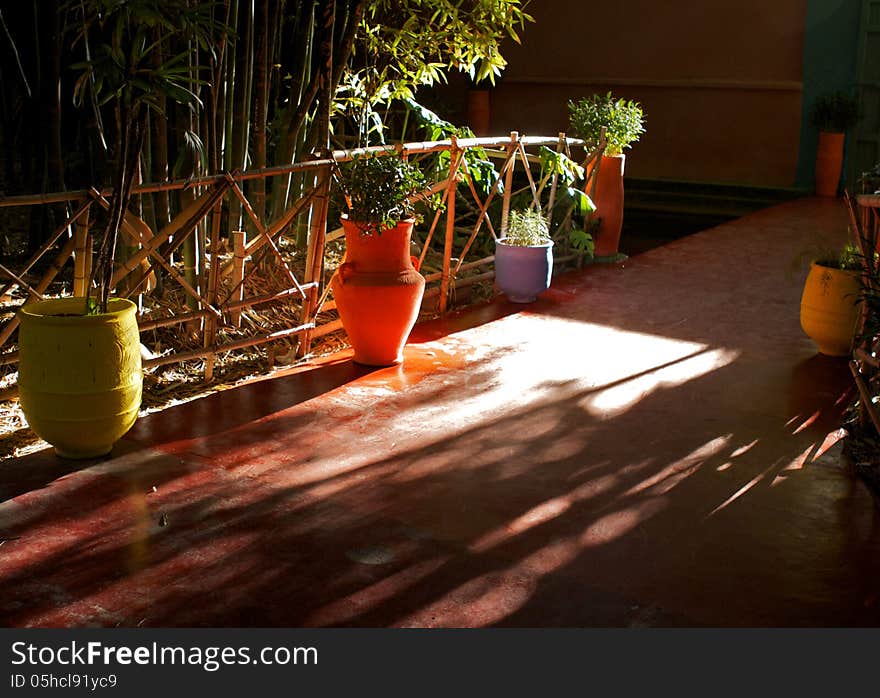 Jardin Majorelle