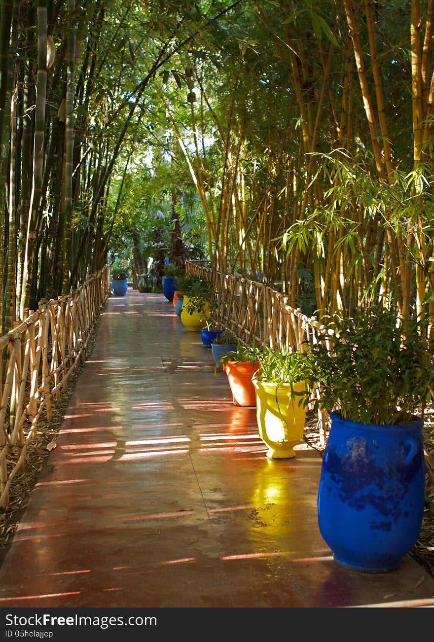 Jardin Majorelle III