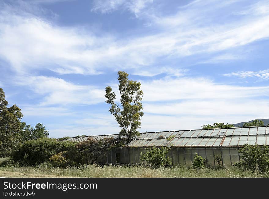 Abandoned greenhouse