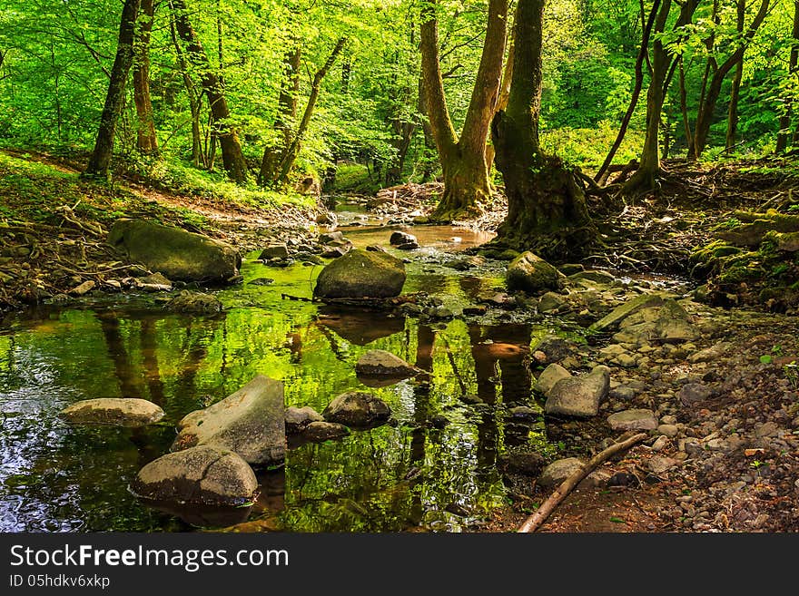 Mountain stream making way through the rocks and roots in the old forest. Mountain stream making way through the rocks and roots in the old forest