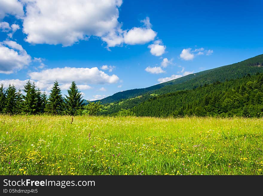 Meadow with in the mountains