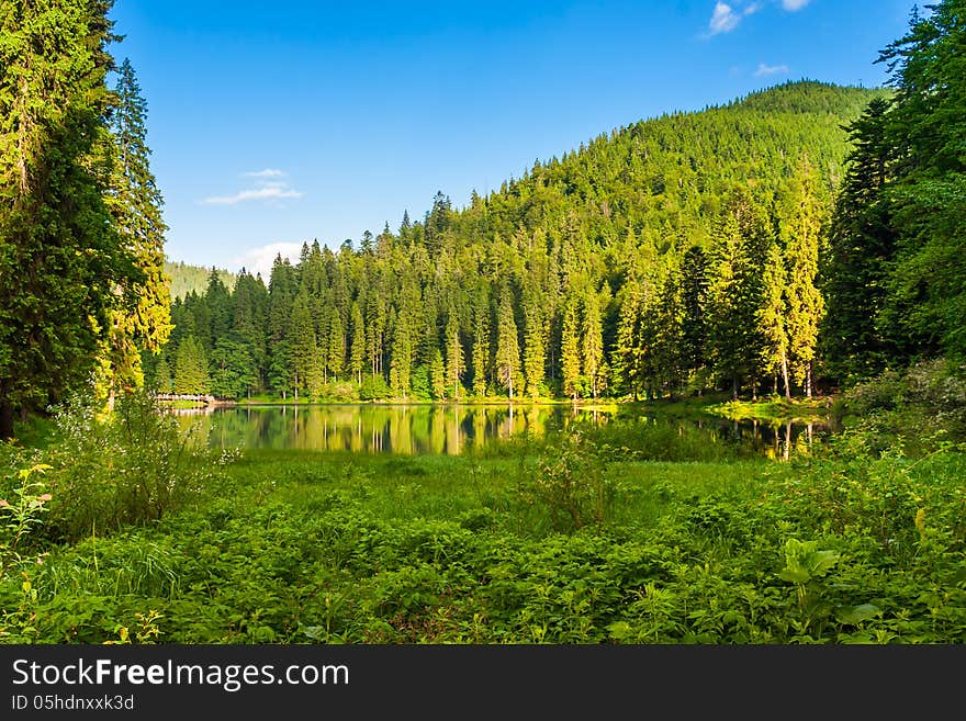 Forest reflection on the lake on the background of mountains