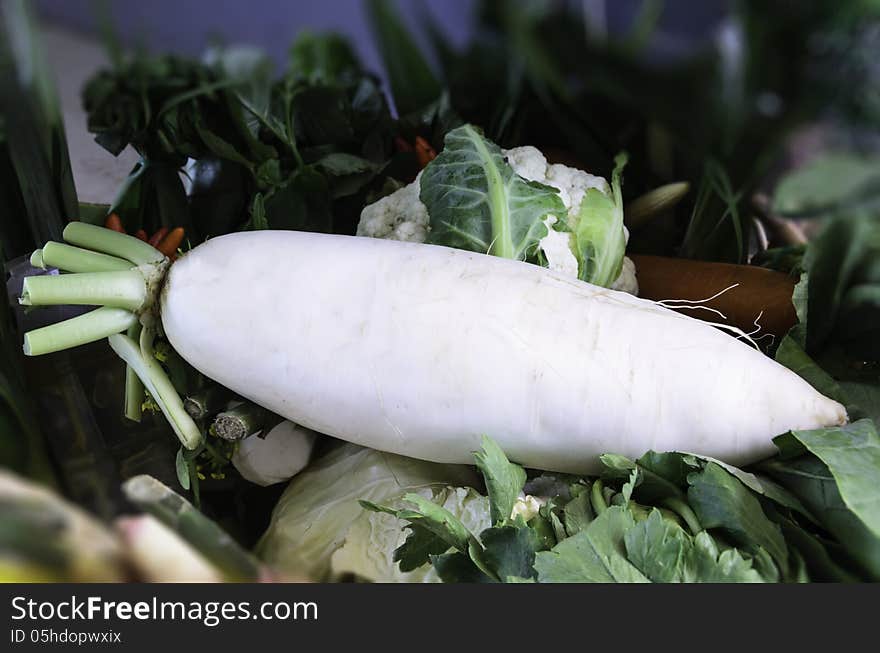 White radish in the kitchen