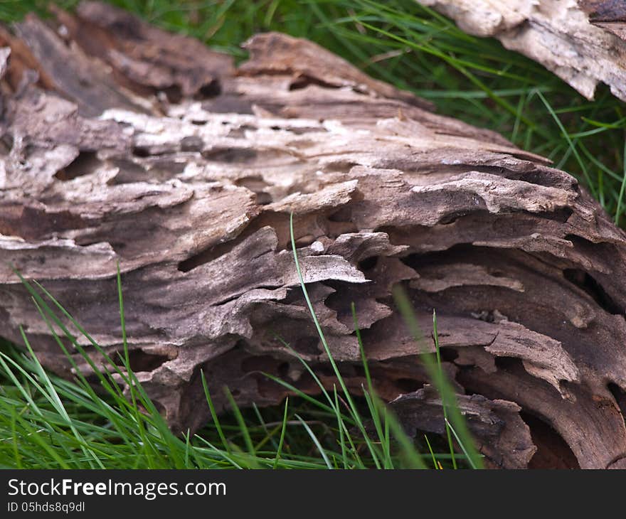 Exture of wood trimmed ants - corridor. Exture of wood trimmed ants - corridor