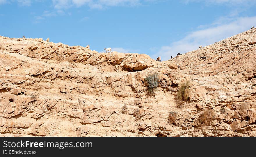 Wadi celt judean desert travel attraction in Israel. Wadi celt judean desert travel attraction in Israel